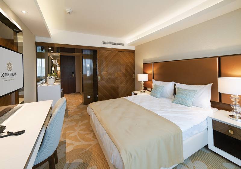 اتاق استاندارد یک نفره, Lotus Therm Spa&luxury Resort