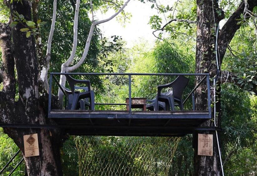 Люкс Повышенной Комфортности, Tiger N Woods Resort