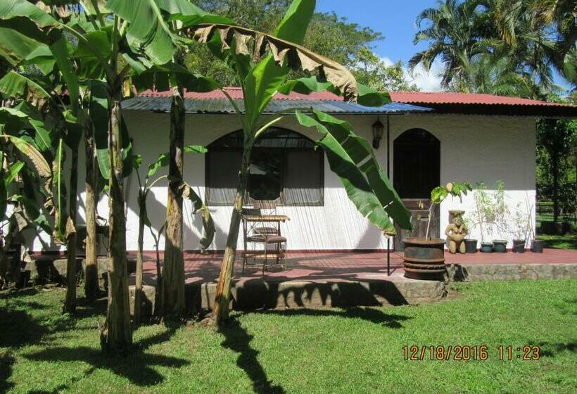 标准间, Spirit Of Jungle Lodge