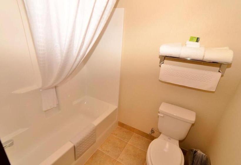 Люкс Deluxe Кровать Кинг, Cobblestone Inn & Suites  Holstein