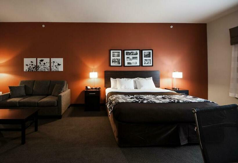 Люкс Кровать Кинг, Sleep Inn & Suites Hennessey North