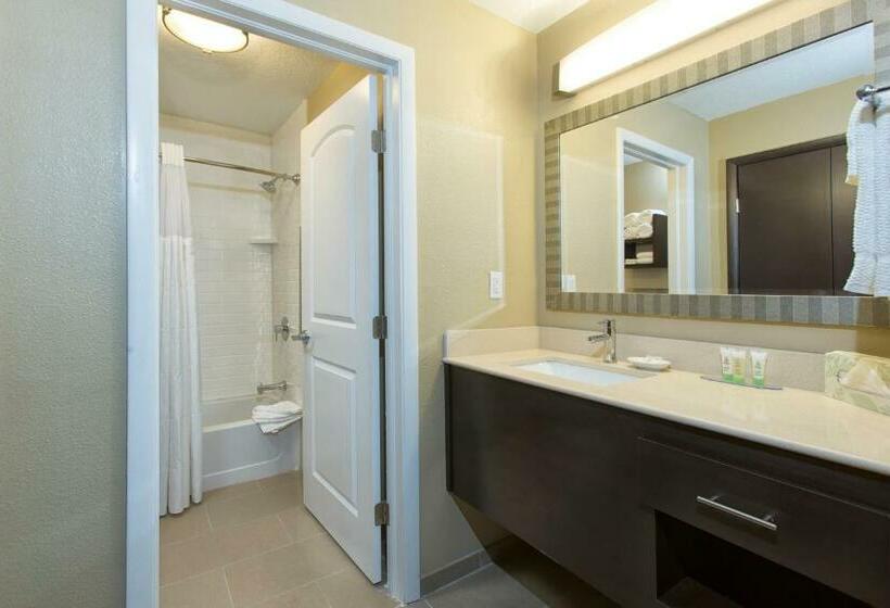 标准工作室, Staybridge Suites Orlando At Seaworld, An Ihg