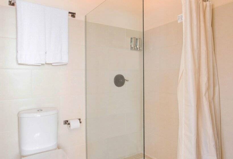 Полулюкс, Punta West Bed & Breakfast