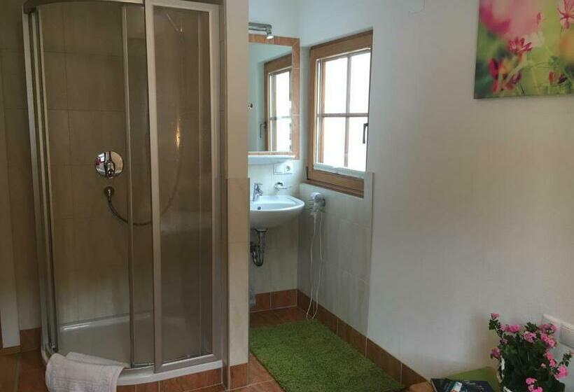 Номер Стандарт Индивидуальный, Gästehaus Hochstaffl