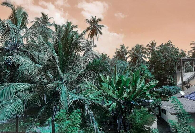 Студио Стандарт Вид на Сад, Paradiso
