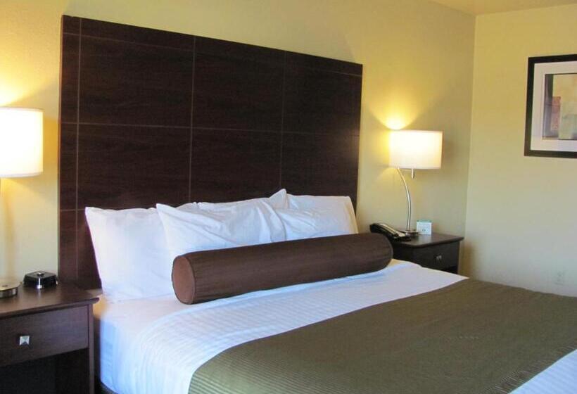 Номер Стандарт Кровать Кинг Адаптированный для Инвалидов, Cobblestone Inn & Suites  Ambridge