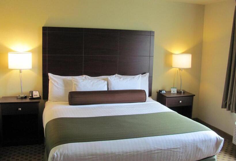 Стандартный Номер Кровать Кинг, Cobblestone Inn & Suites  Ambridge