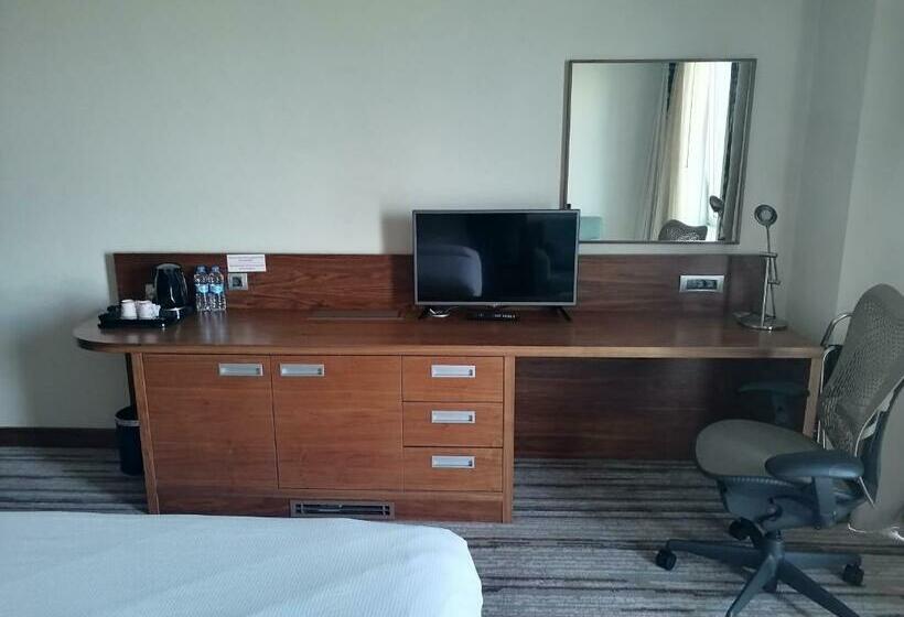 Стандартный Номер Кровать Кинг, Hilton Garden Inn Erzincan