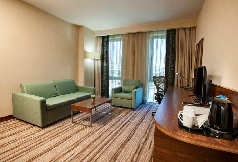 Люкс Кровать Кинг, Hilton Garden Inn Erzincan
