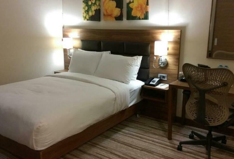 Номер Стандарт Адаптированный для Инвалидов, Hilton Garden Inn Erzincan
