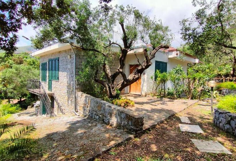 اتاق استاندارد, Villa Irma