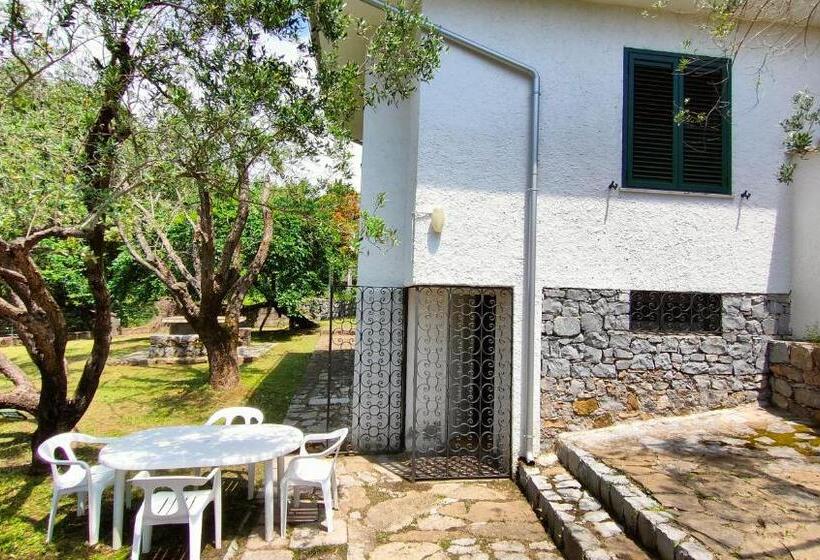 اتاق دوبلکس, Villa Irma