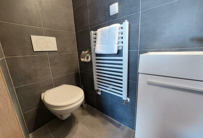 Номер Стандарт, Penzion Strachotín
