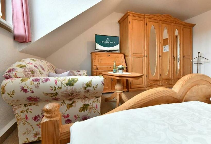 Номер Стандарт, Landhotel Jungbrunnen