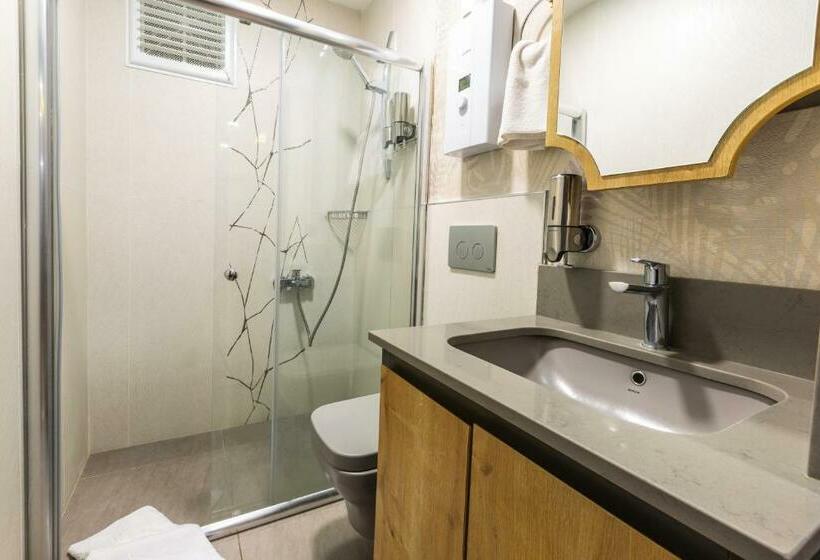 Полулюкс с Балконом, North Star Suite