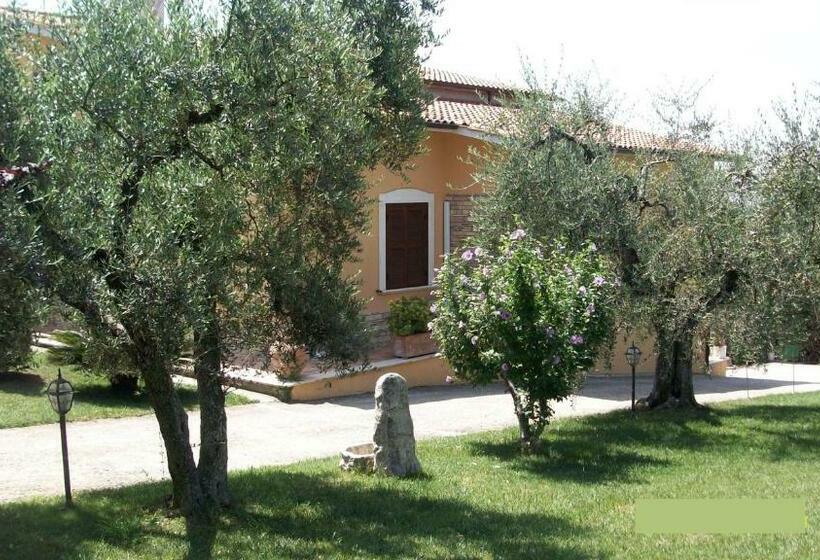 Номер Deluxe, Il Giardino Degli Ulivi