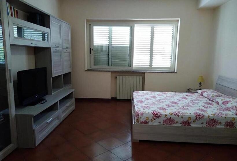 Номер Стандарт, B&b Mantinera