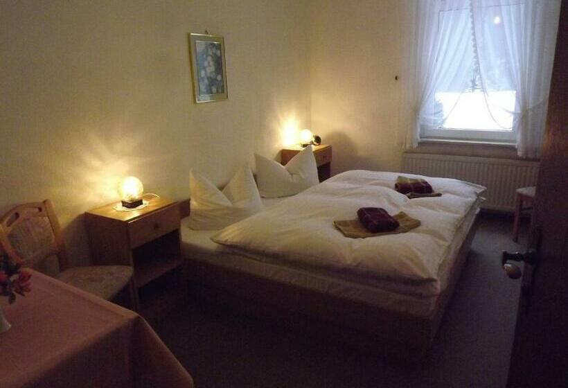 Номер Стандарт, Pension Bodetal