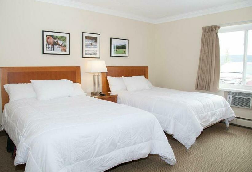 ２ダブルベッドのスタンダードルーム, Twin Pine Inn & Suites