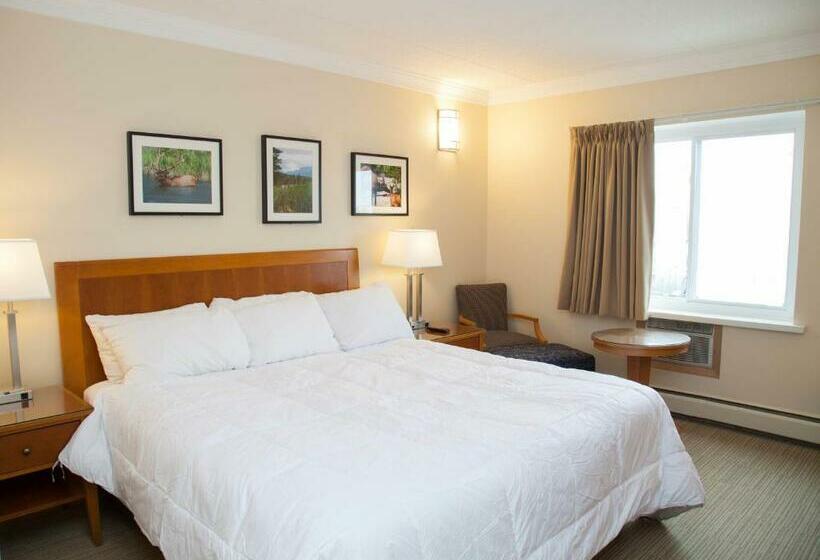 Стандартный Номер Кровать Кинг, Twin Pine Inn & Suites