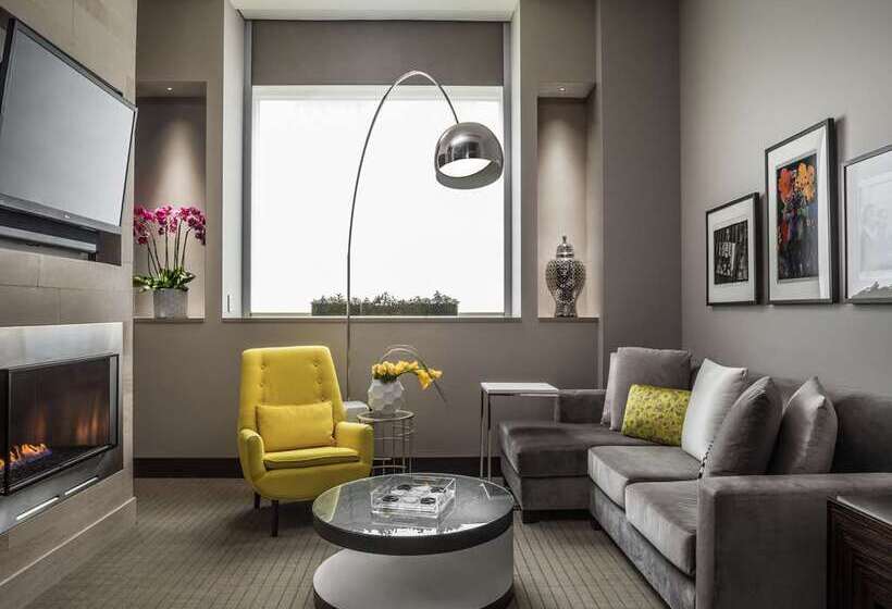 Suite King Size Seng, Residence Inn By Marriott Chicago Downtown Magnificent Mile
