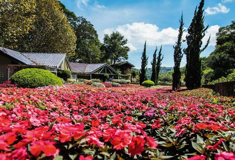 Вилла 1 Спальня Вид на Сад, Unique Garden