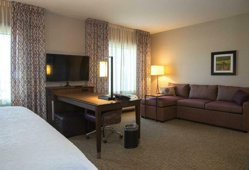스탠다드 룸 킹사이즈 침대, Hampton Inn & Suites Murrieta Temecula