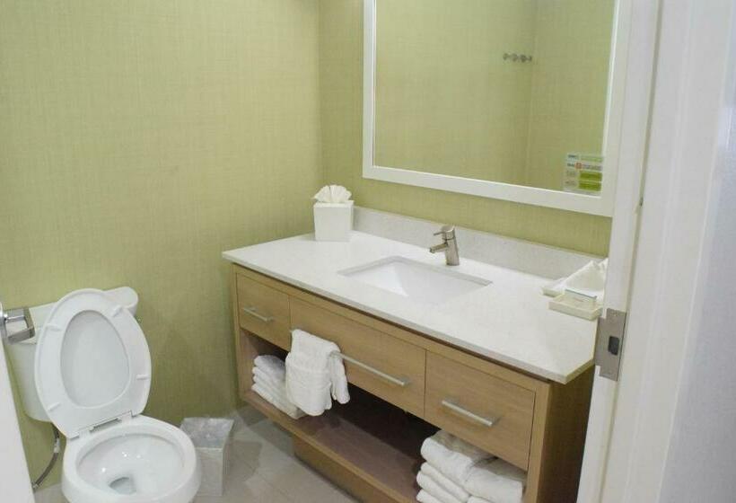스탠다드 스튜디오, Home2 Suites By Hilton Shenandoah The Woodlands