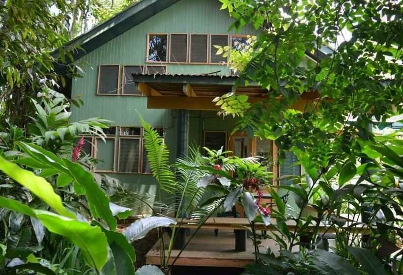 Студия Стандарт, Rainforest Eco Lodge