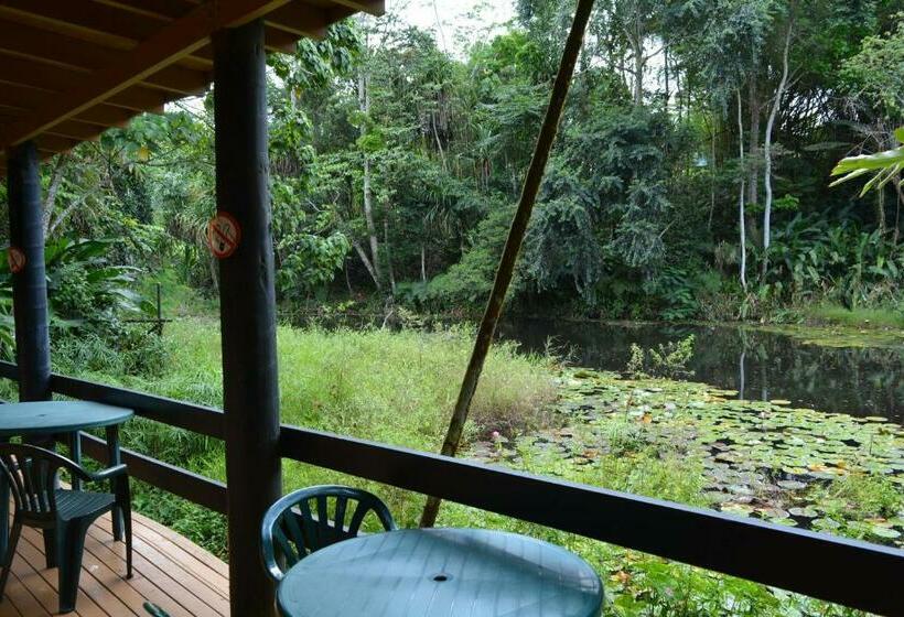 Номер Economy, Rainforest Eco Lodge