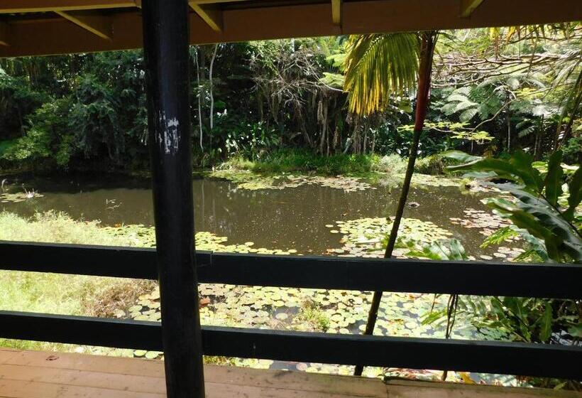 Номер Economy, Rainforest Eco Lodge