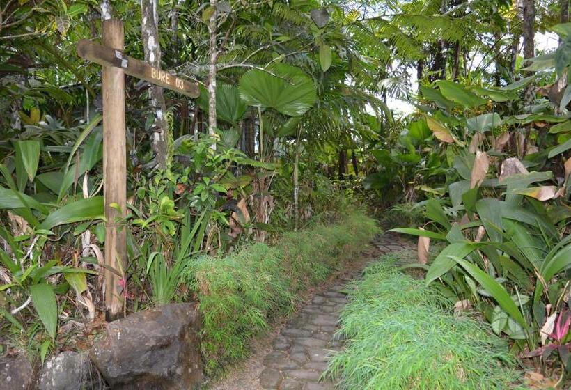 Номер Стандартный с Видом, Rainforest Eco Lodge