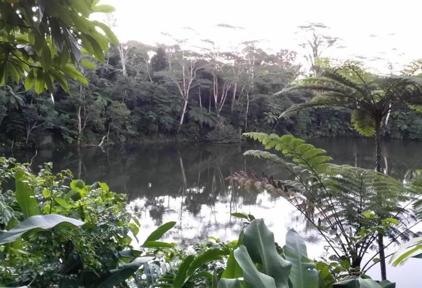 Номер Стандартный с Видом, Rainforest Eco Lodge