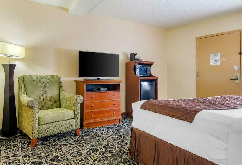 اتاق استاندارد با تخت بزرگ, Quality Inn Idaho Falls