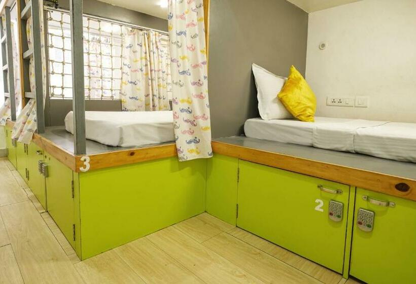 共用房间的床, Moustache Hostel Jaipur
