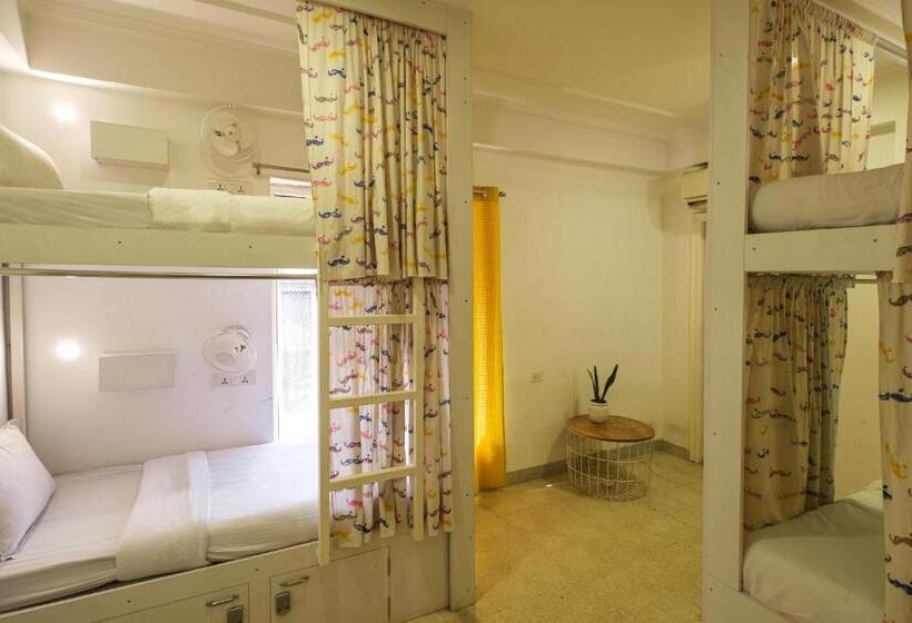 共用房间的床, Moustache Hostel Jaipur