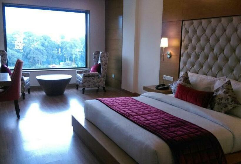 수피리어 룸 도시 전망, Rs Sarovar Portico