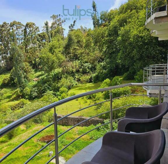带阳台套房, Tulips Village Resorts
