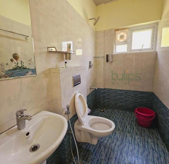 标准间, Tulips Village Resorts