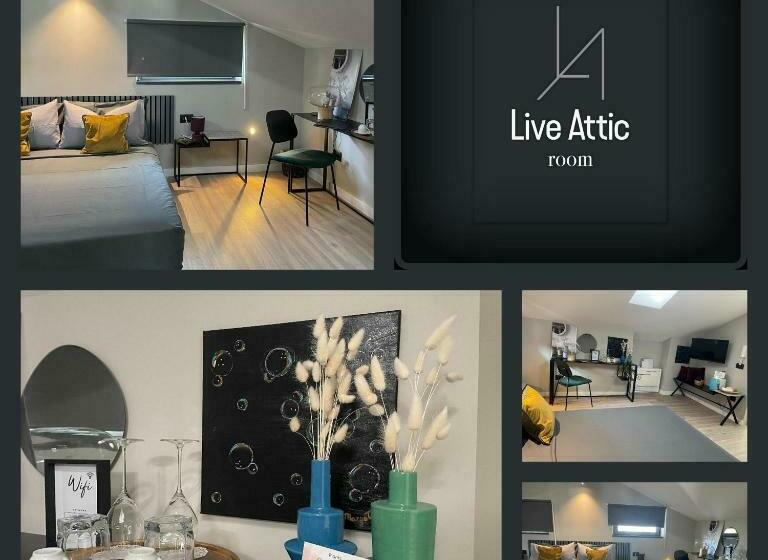 Номер Стандарт, Live Attic Room