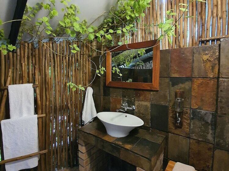 Номер Стандарт, A Traveller's Palm