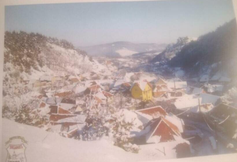 Номер Стандарт, Pensiunea Casa Roman