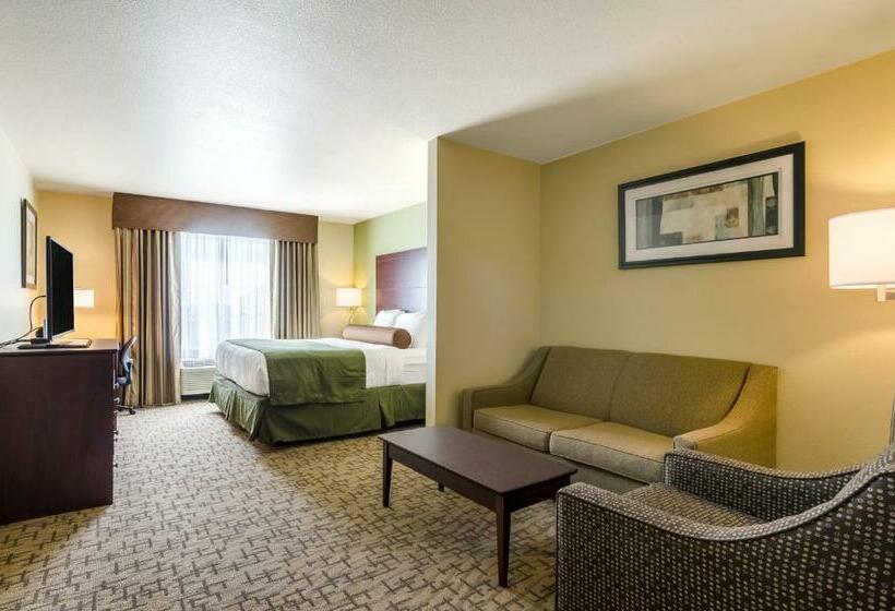 스위트 킹사이즈 침대, Cobblestone Hotel & Suites   Mccook