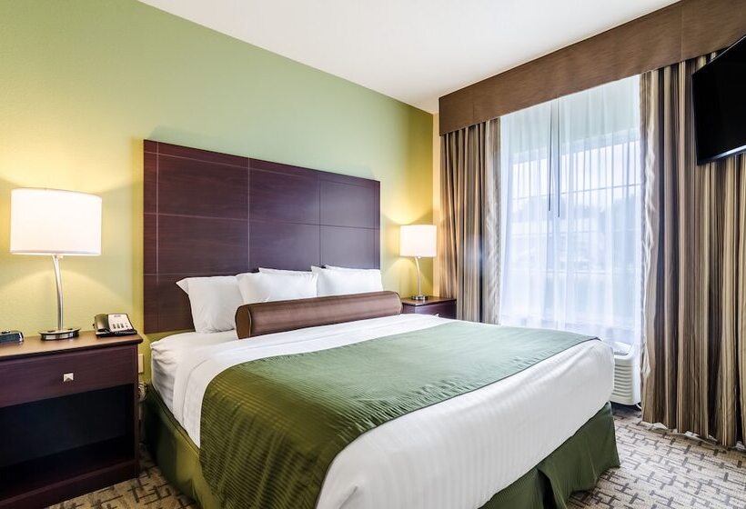 Люкс, Cobblestone Hotel & Suites   Mccook