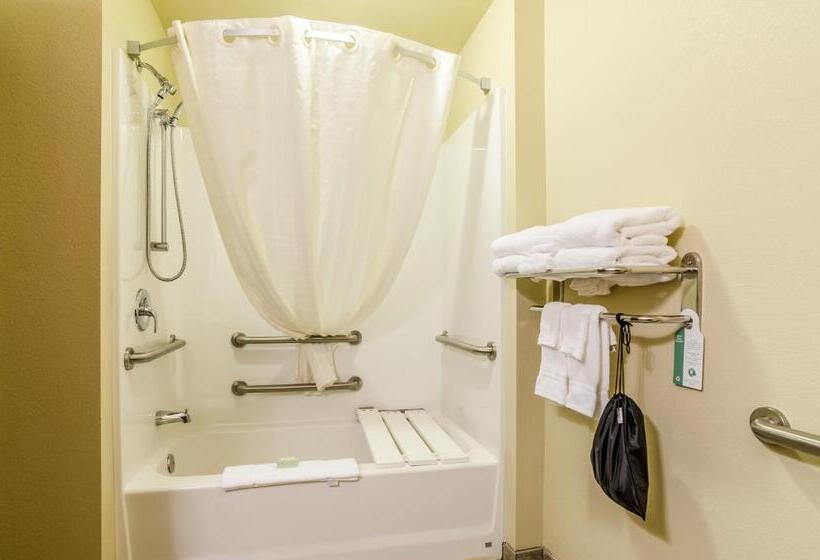 장애인을 위한 킹사이즈 침대 스탠다드 룸, Cobblestone Hotel & Suites   Mccook