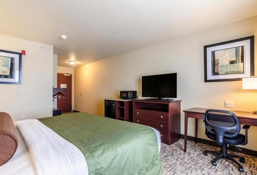 장애인을 위한 킹사이즈 침대 스탠다드 룸, Cobblestone Hotel & Suites   Mccook