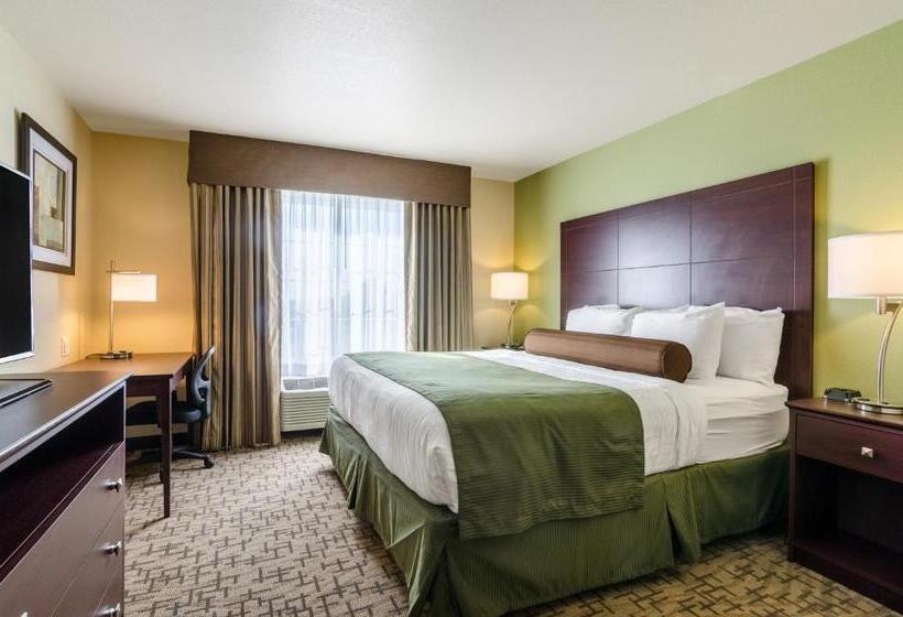 스탠다드 스튜디오 킹침대, Cobblestone Hotel & Suites   Mccook