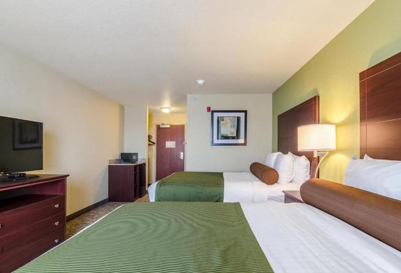 장애인을 위한 스탠다드 룸, Cobblestone Hotel & Suites   Mccook