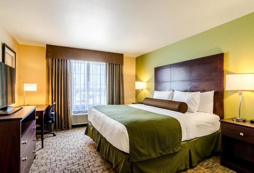 스탠다드 룸 킹사이즈 침대, Cobblestone Hotel & Suites   Mccook