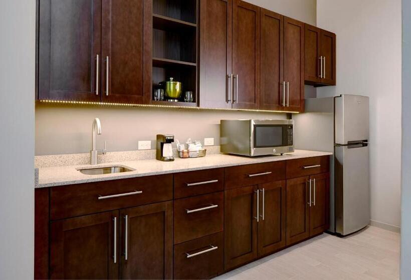 스위트 킹사이즈 침대, Hyatt Place St. Paul